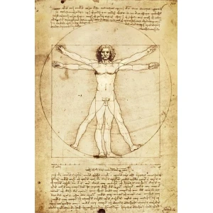 Leonardo Da Vinci Vitruvian Man Poster - 24" x 36"
