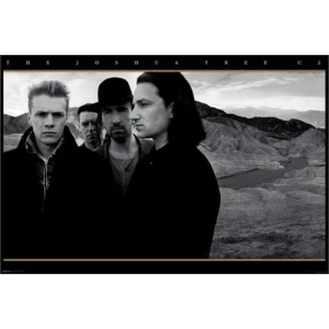 U2 Poster - 24" x 36"