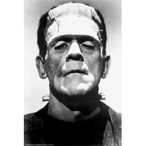 Frankenstein "Boris Karloff" Poster - 24" x 36"