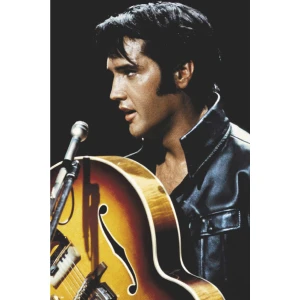 Elvis Presley - King - Poster - 24" x 36"