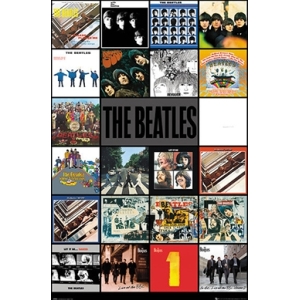 Beatles Albums Poster - 24" x 36"