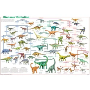 Dinosaur Evolution Educational Poster 36x24