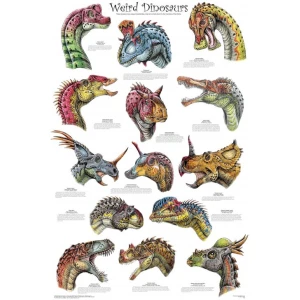 Weird Dinosaurs Educational Poster 24x36