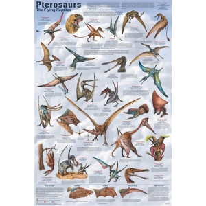 Pterosaurs Educational Poster 24x36