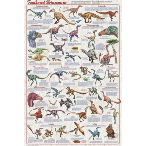Feathered Dinosaurs 2 Educational Poster 24x36