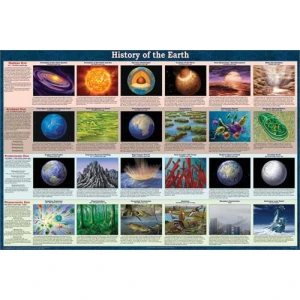 History of the Earth Educational Poster 36x24