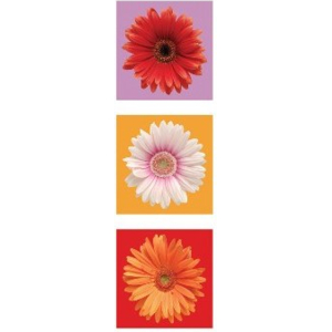 Daisies - Red, White & Orange Slim Print Poster - 12" x 36"
