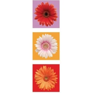 Daisies - Red, White & Orange Slim Print Poster - 12" x 36"