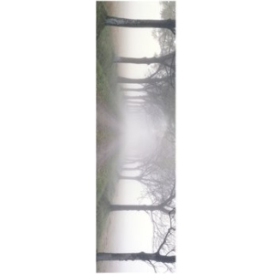 Morning Mist Slim Print Poster 12" x 36"