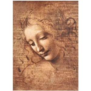 La Scapigliata (Female Head) by Da Vinci Mini Poster - 11" x 14"