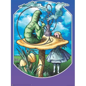 Alice - Mikio Kennedy - Poster - 24" x 36"