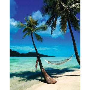 Beach Hammock Print - 16" x 20"