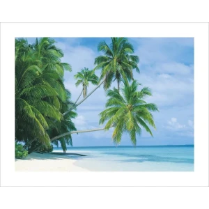 Fihalhohi Island Mini Poster - 11" x 14"