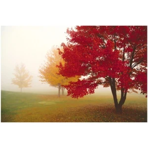 Escape Tree Poster - 16" x 20"