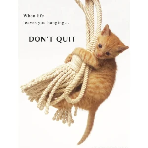 Don't Quit Poster - 16" x 20"