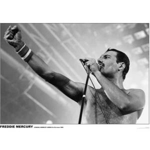 Freddie Mercury Poster - 23.5" x 33"
