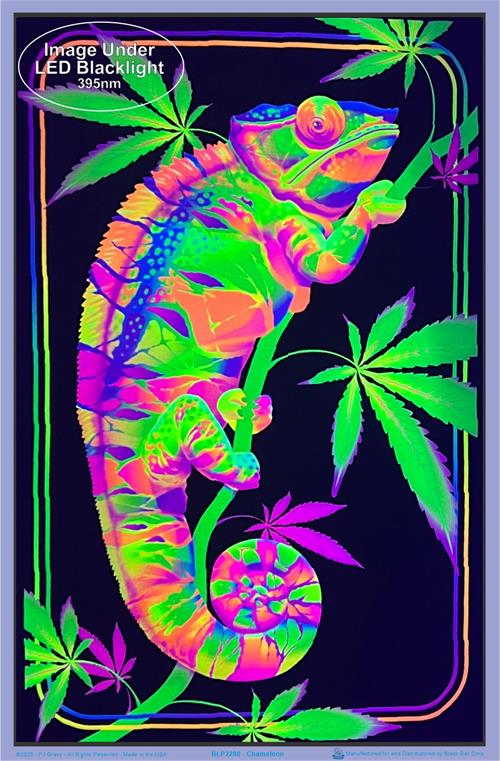 BLP2280-chameleon-blacklight-poster-1.jpg