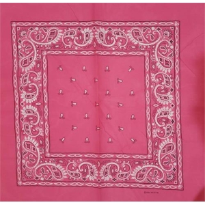 Paisley Bandana Fuscia 22" x 22" - Cotton