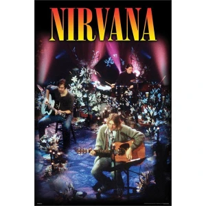 Nirvana in Concert Poster - 24" x 36"