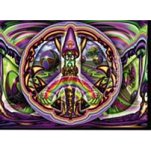Postcard - Mushroom Wizard - Mike Dubois - Clearance - Min. 12 Per Style