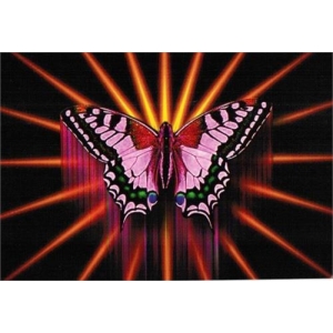 Postcard - Butterfly Rising - Clearance - Min. 12 Per Style