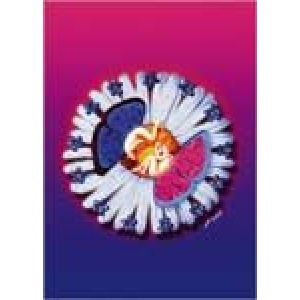 Postcard - Daisy Fairies - Mike Dubois - Clearance - Min. 12 Per Style