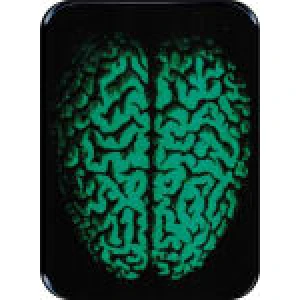 Brain Large Sticker 2 1/2" x 3 3/4" - Clearance