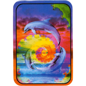 Dolphins - Large Sticker 2 1/2" x 3 3/4" - Clearance