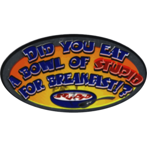 Did You Eat A Bowl Of Stupid - 3.5" x 2.5" - Sticker