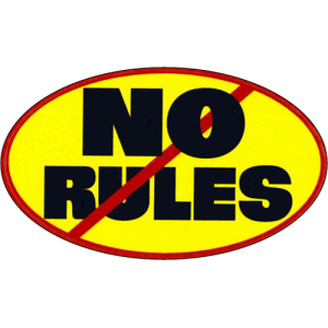 No Rules - 3.5" x 2.5" - Sticker