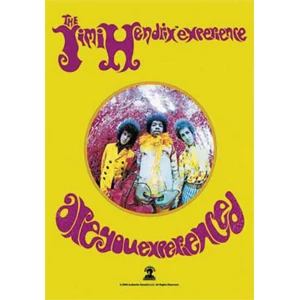 Jimi Hendrix - Are You Experienced Fabric Poster - 30" x 40"
