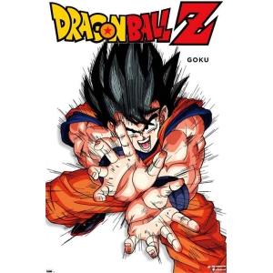Dragon Ball Z Goku Features Series Anime Poster - 22.375" x 34"
