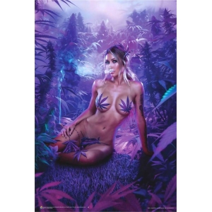 Paradise Garden by Daveed Benito Poster - 24" x 36"