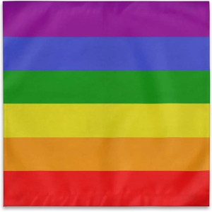Rainbow Bandana