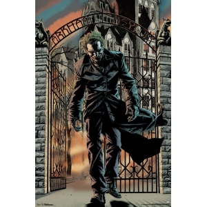 Joker - Arkham Asylum Poster - 22.375'' x 34"