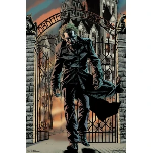 Joker - Arkham Asylum Poster - 22.375'' x 34"