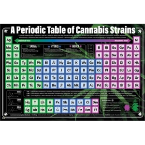A Periodic Table of Cannabis Strains Poster - 36" x 24"