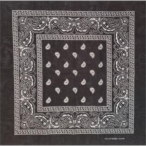 Paisley Bandana Black 21" x 21" - Cotton