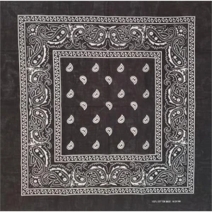 Paisley Bandana Black 21" x 21" - Cotton