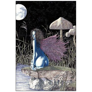 Moon Shadows Fairy  by Ulysses - Poster - 24" x 36"